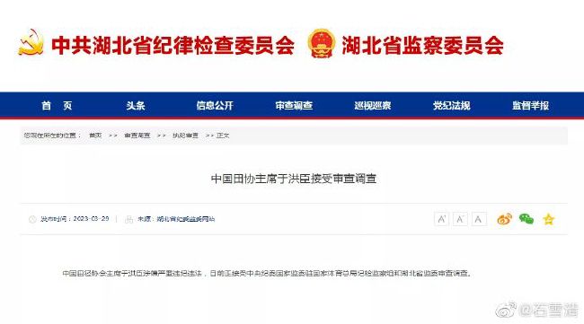 精品久久久久久国产免费了